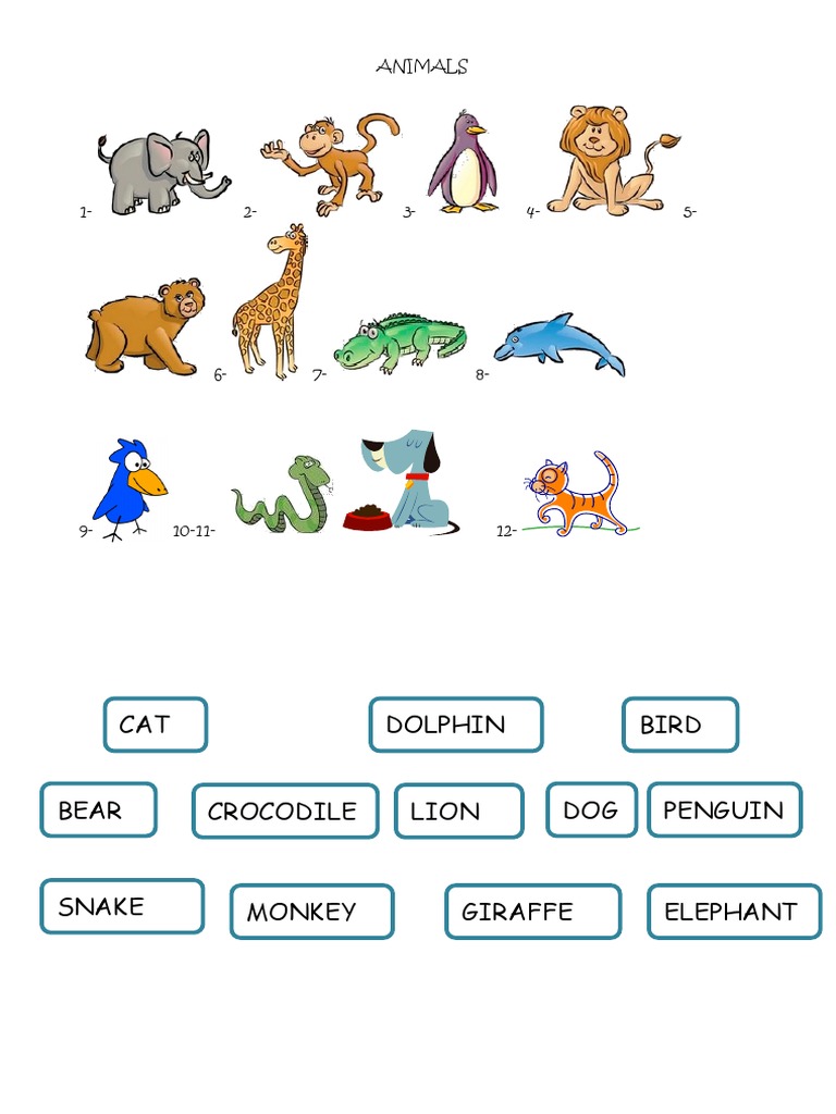 ANIMALS Matching | PDF | Games & Activities