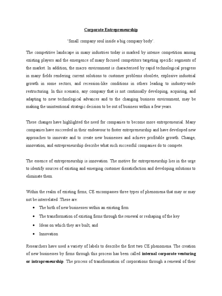 CE Paper | PDF | Entrepreneurship | Sustainable Business