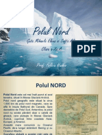 Polul Nord