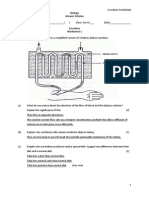 Excretion Worksheet 1 Answers