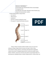 Anatomi Dan Fisiologi Vertebrae 1