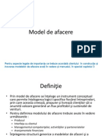 Model de Afacere13