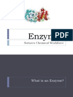 Enzymes: Natures Chemical Workforce