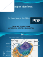 Transpor Membran 13-14