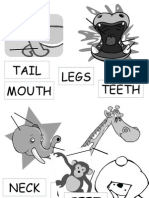 Animals Body Parts Pics