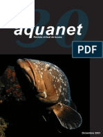 Aquanet 30