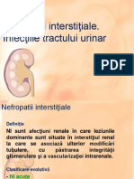 Infecţiile Tractului Urinar Nefropatii Interstiale1