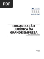 FGV  DIREITO RIO_Organizaçao Juridica da Grande Empresa