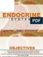 Endocrine System