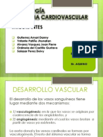 Embriologia DR Aquino1