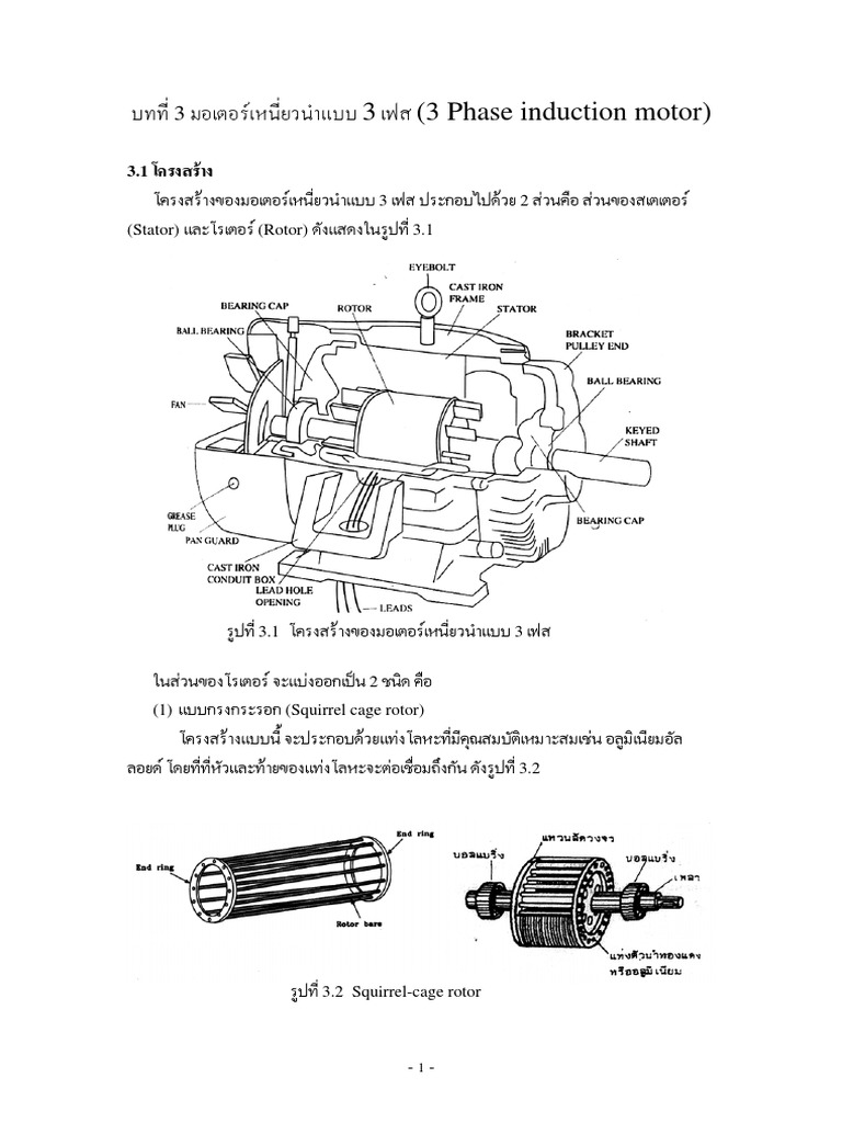 3 Phase Induction Motor | PDF