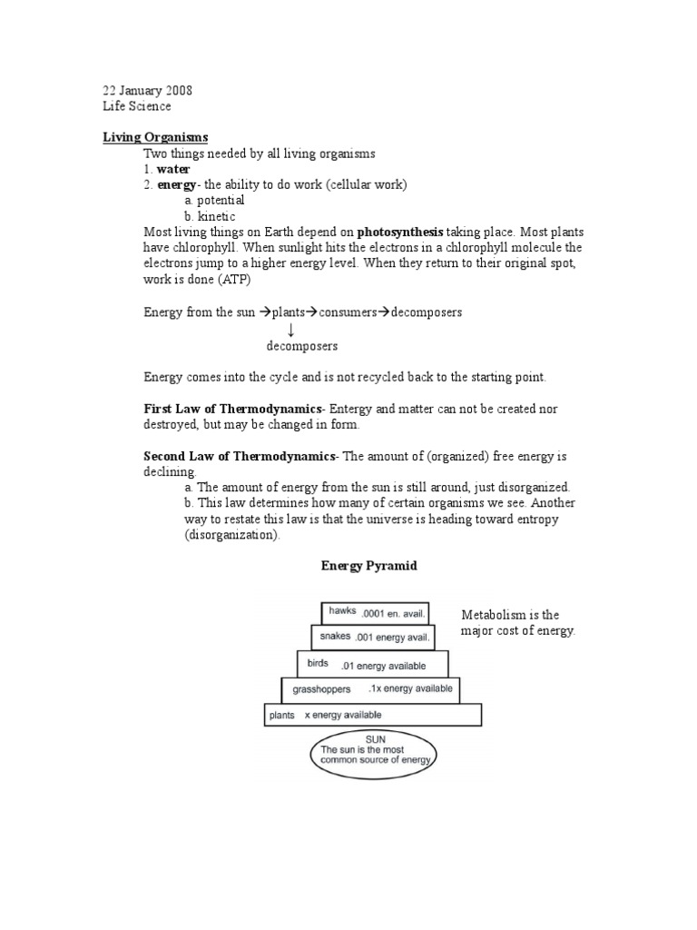 Life Science 012208 Pdf Metabolism Biology