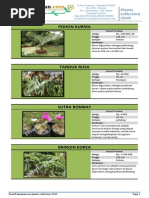 Download TanamanHias by Sufi S SN209720053 doc pdf