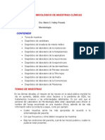 Examen Micologico en Diferentes MuestraS