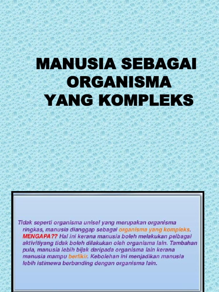 Organ Dalam Badan Manusia