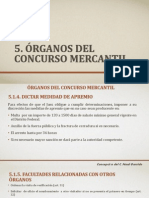 Presentación Organos Del Concurso Mercantil-Conchita