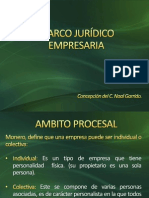 Presentación Derecho Empresarial-Ambito Procesal-Conchita