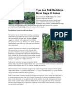 Tips Dan Trik Budidaya Buah Naga Di Kebun PDF