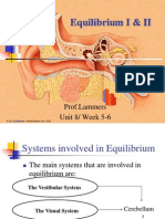 Equilibrium 1