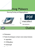 Detecting Botnets and Malware