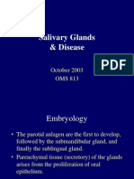 Salivary Glands