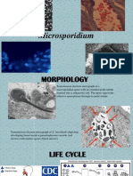 Microsporidium