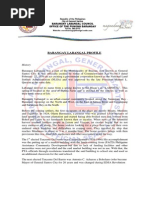 Download Barangay Profile 2014 Update by Barangay Labangal SN209758303 doc pdf