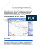 Prezentarea Aplicatiei Microsoft Excel 2003