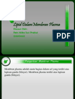 Lipid Dalam Membran Plasma 