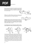 Estiramientos Espalda