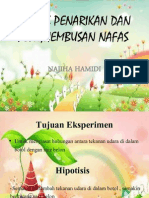 Proses Penarikan Dan Penghembusan Nafas