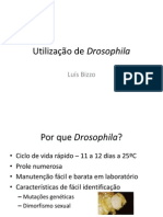 Utilizacao de Drosophila