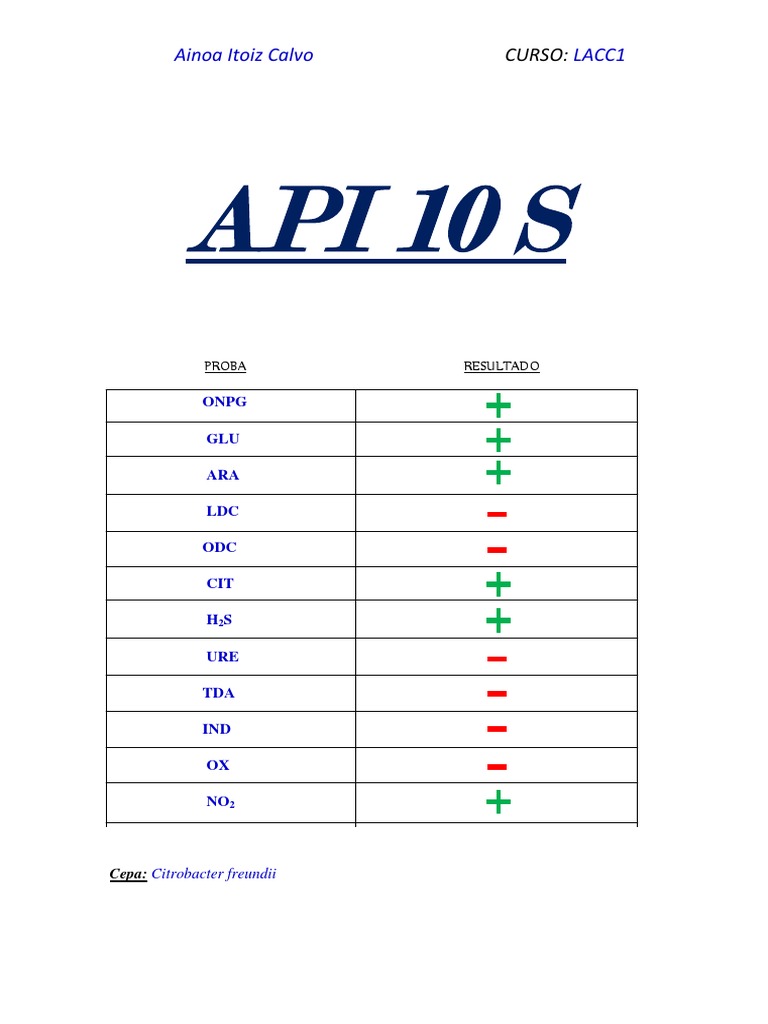Api 10 S | PDF