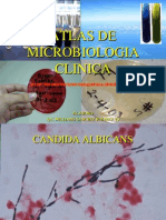 Atlas de Microbiologia Clínica
