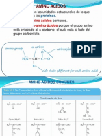 Bioquimica Introduccion II Proteinas Enzimas