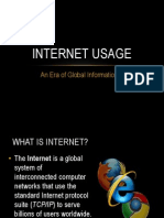 Internet Usage: An Era of Global Information