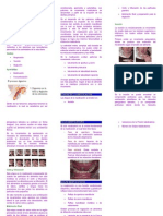 Triptico Masticación