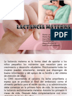 Lactancia Materna Aps