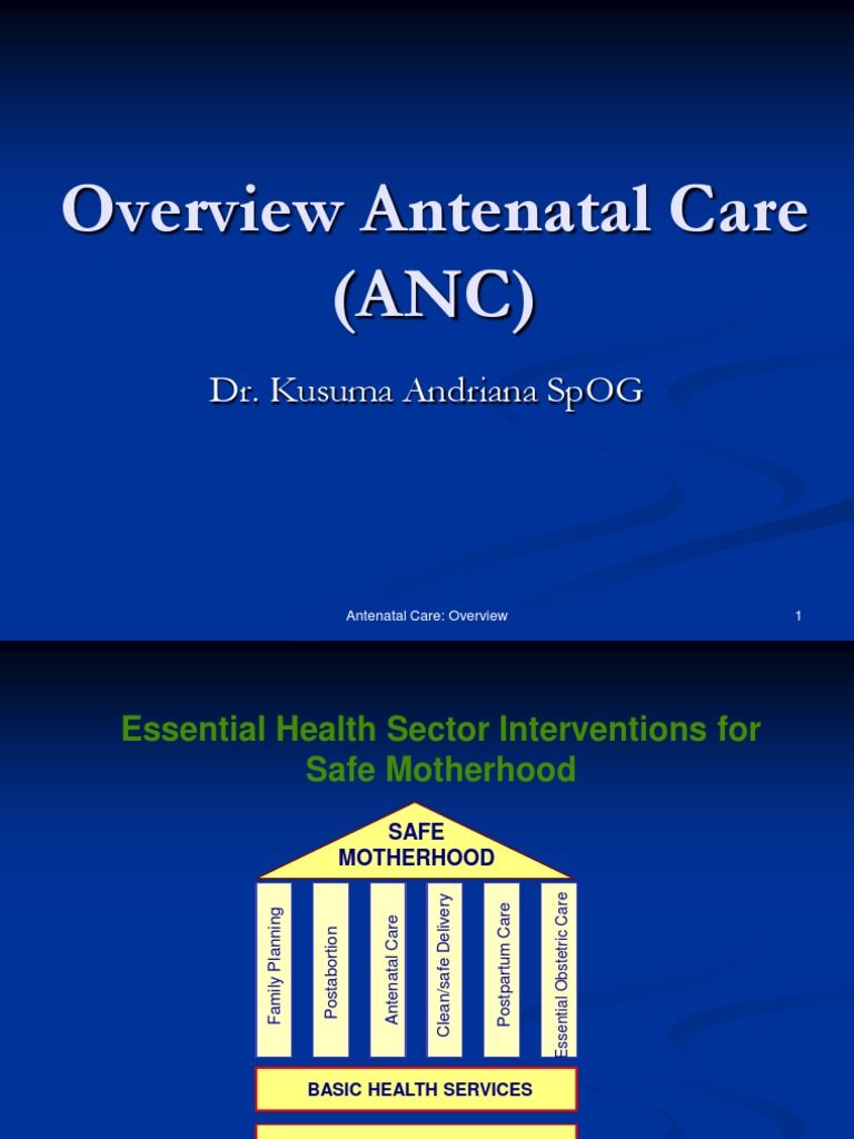 Antenatal Care: Key Components and Goals | PDF | Folic Acid | Diet ...