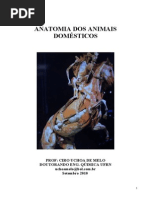 Apostila Completa Anatomia Veterinaria