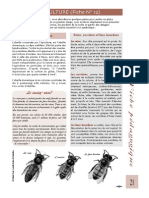 Fiche Peda Apiculture 12