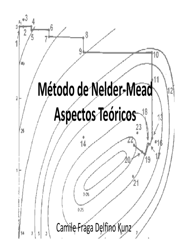 Método de Nelder-Mead AULA | PDF | Limite (Matemática) | Geometria