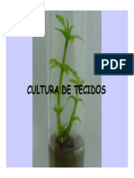 Introdução à cultura de tecidos