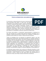 BraxMax - Como Se Desenvolve Uma Planta de Soja