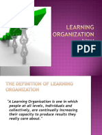 Learning Organization 1