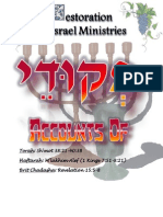 Bmidbar Ministries: Pekudey_Accounts Of