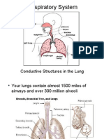 respiratorysystem2