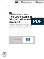 Chief Info Officers Guide to Green IT