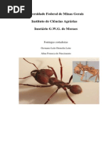 Pragas_formigas_cortadeiras