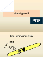 Mater I Gene Tik